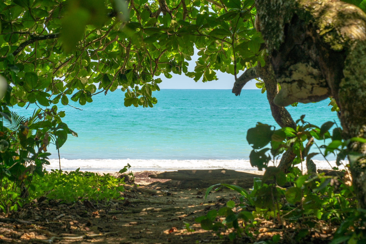 Parque Nacional Cahuita-18
