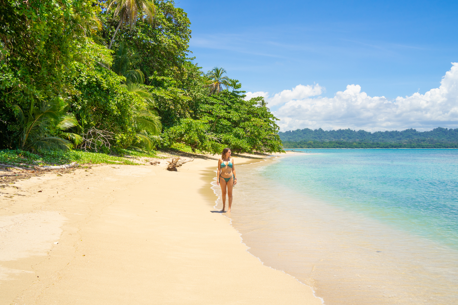 Parque Nacional Cahuita-43