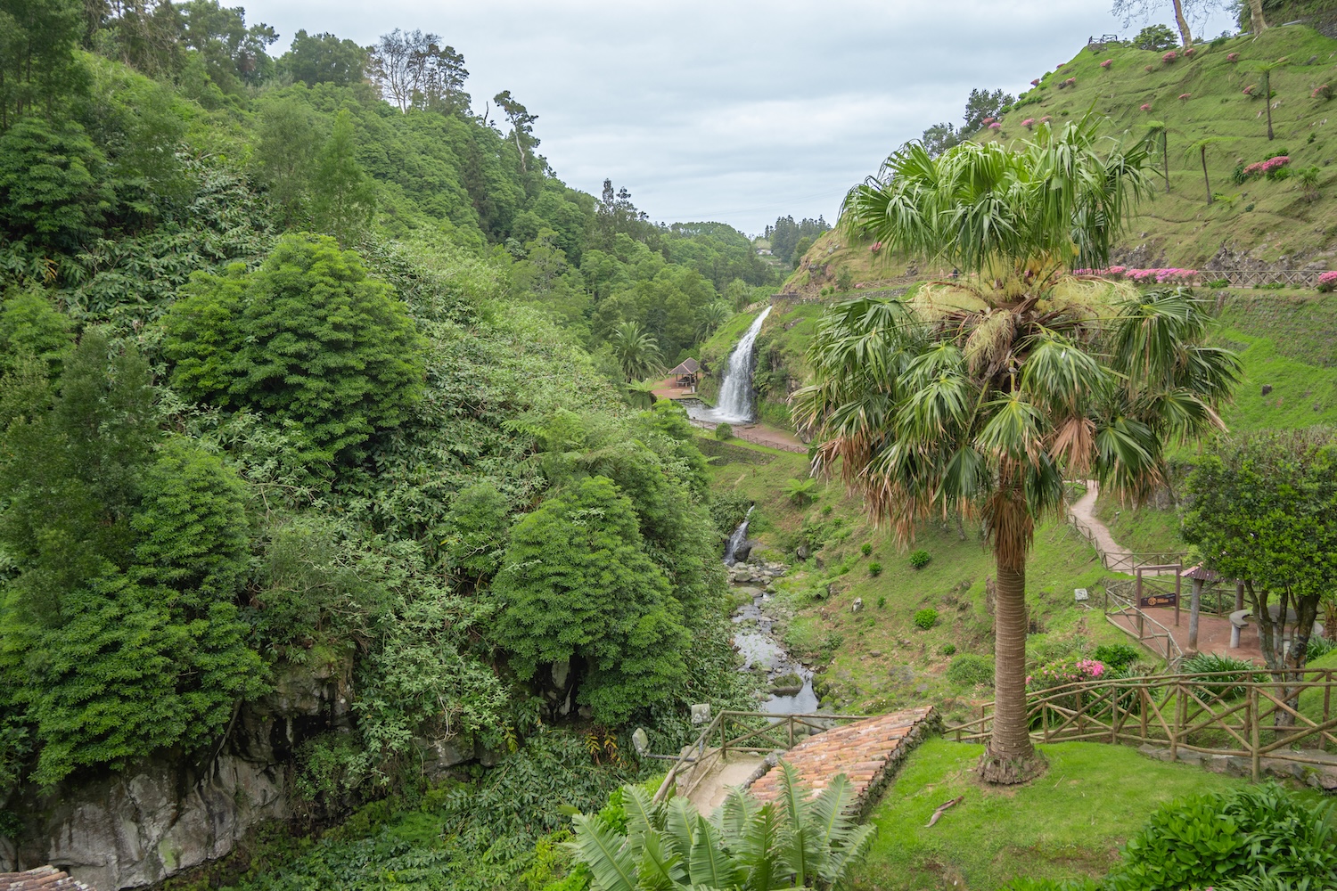 Azores-317